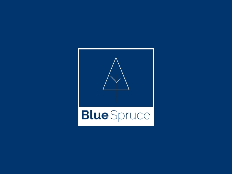 Blue Spruce - 