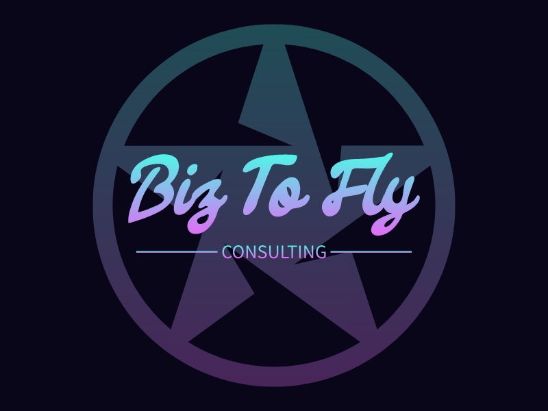 Biz To Fly - Consulting