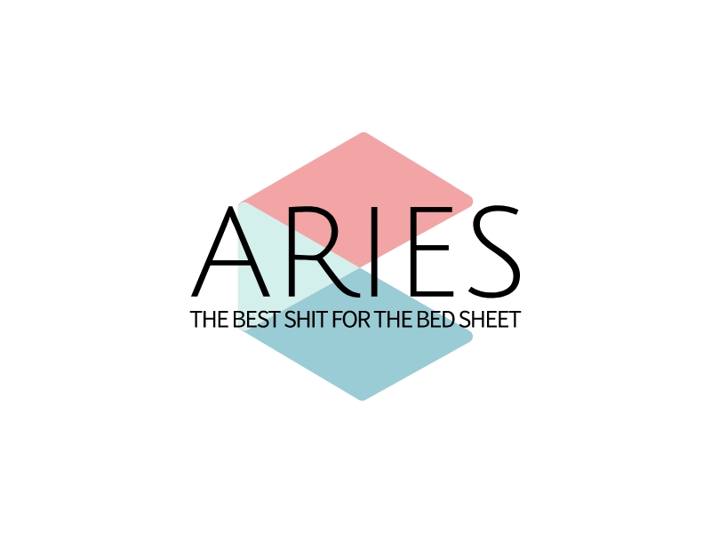 ARIES - The Best Shit for the Bed Sheet