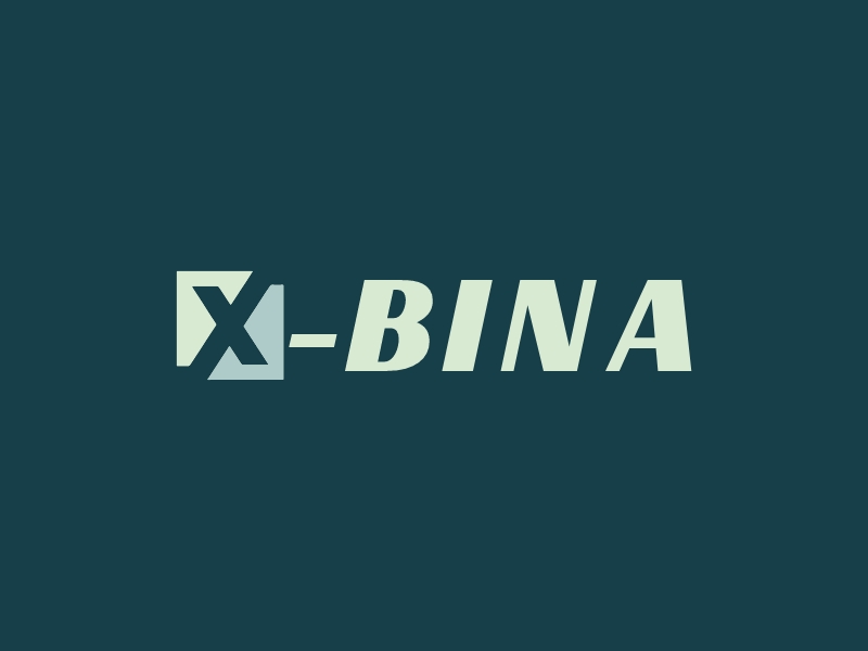 X-BINA - 